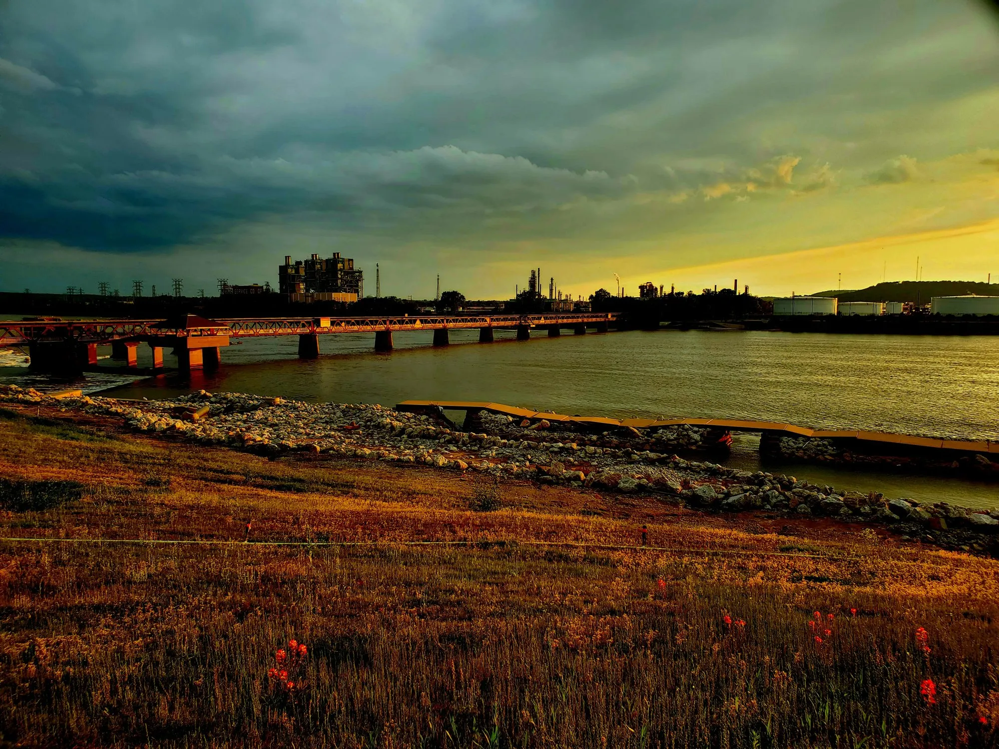 Sunset over the Arkansas River with a pedestrian bridge and wildflowers on the bank